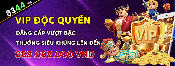 Hình ảnh quảng cáo của mmwin hiển thị nền tảng và các lợi ích