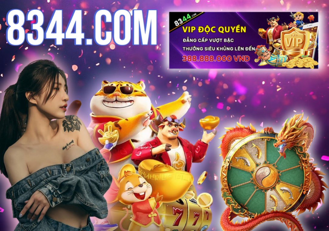 Hình ảnh quảng cáo của mmwin hiển thị nền tảng và các lợi ích
